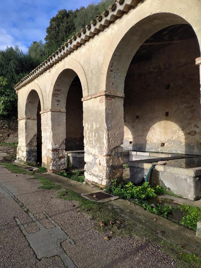 包内伊Steddueoro住宿加早餐旅馆 外观 照片